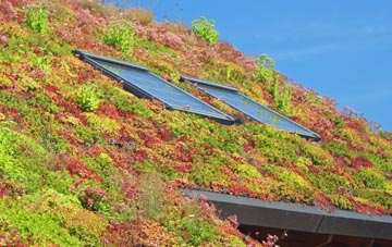 Kerthen Wood living roof systems